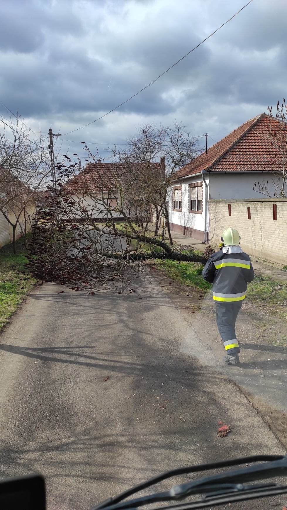 A nagy erejű szél rengeteg munkát adott a helyi tűzoltóknak